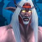 Night Elf