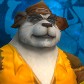 Pandaren