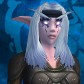 Night Elf