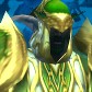 Night Elf