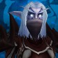 Night Elf