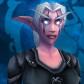 Night Elf