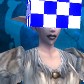 Night Elf