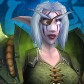 Night Elf
