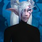 Night Elf