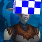 Night Elf