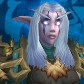 Night Elf