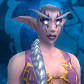 Night Elf