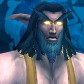 Night Elf