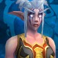 Night Elf