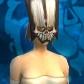 Human