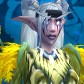 Night Elf