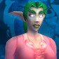 Night Elf
