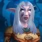 Night Elf