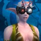 Night Elf