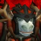 Жуквголове avatar