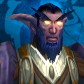 Night Elf