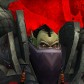 Dobri avatar