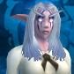 Night Elf