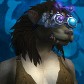 Worgen