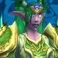 Night Elf