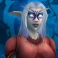 Night Elf