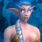 Night Elf