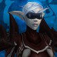 Night Elf