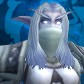 Night Elf
