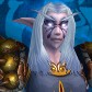 Night Elf