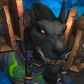 Noxxom avatar