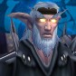 Night Elf