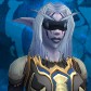 Night Elf