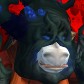 노련한사모님 avatar