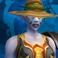 Night Elf