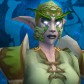 Night Elf