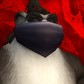 Pandaren
