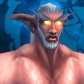 Night Elf