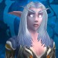 Night Elf