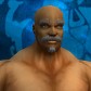 Human