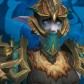 Night Elf