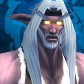 Night Elf