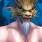 Night Elf
