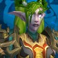 Night Elf