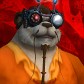 Pandaren