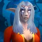 Night Elf