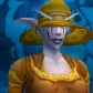 Night Elf