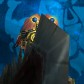 Mortadelia avatar