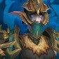 Night Elf