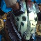Worgen